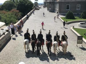 cambio della gurdia budapest